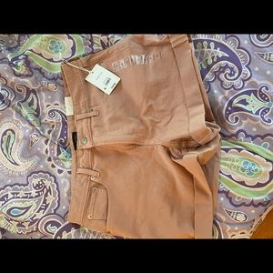 Brand new size 14 pink shorts